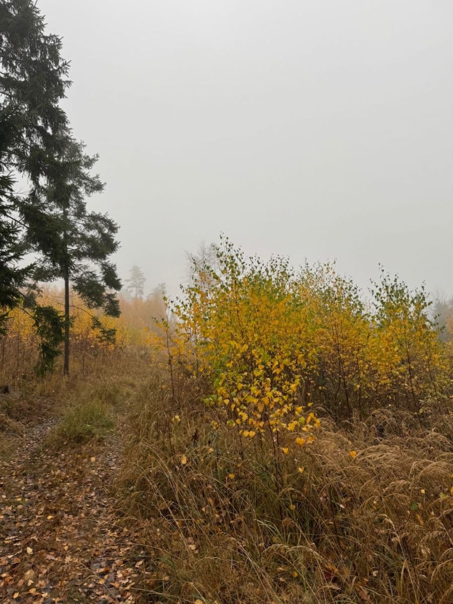 Predaj pozemku 13.538 m², Úboč, Plzeňský kraj Predaj pozemku 13.538 m², Úboč, Plzeňský kraj