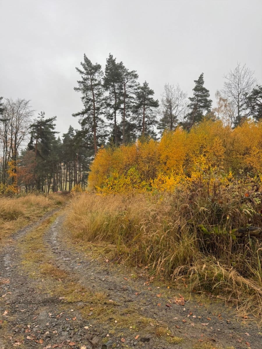 Predaj pozemku 13.538 m², Úboč, Plzeňský kraj Predaj pozemku 13.538 m², Úboč, Plzeňský kraj