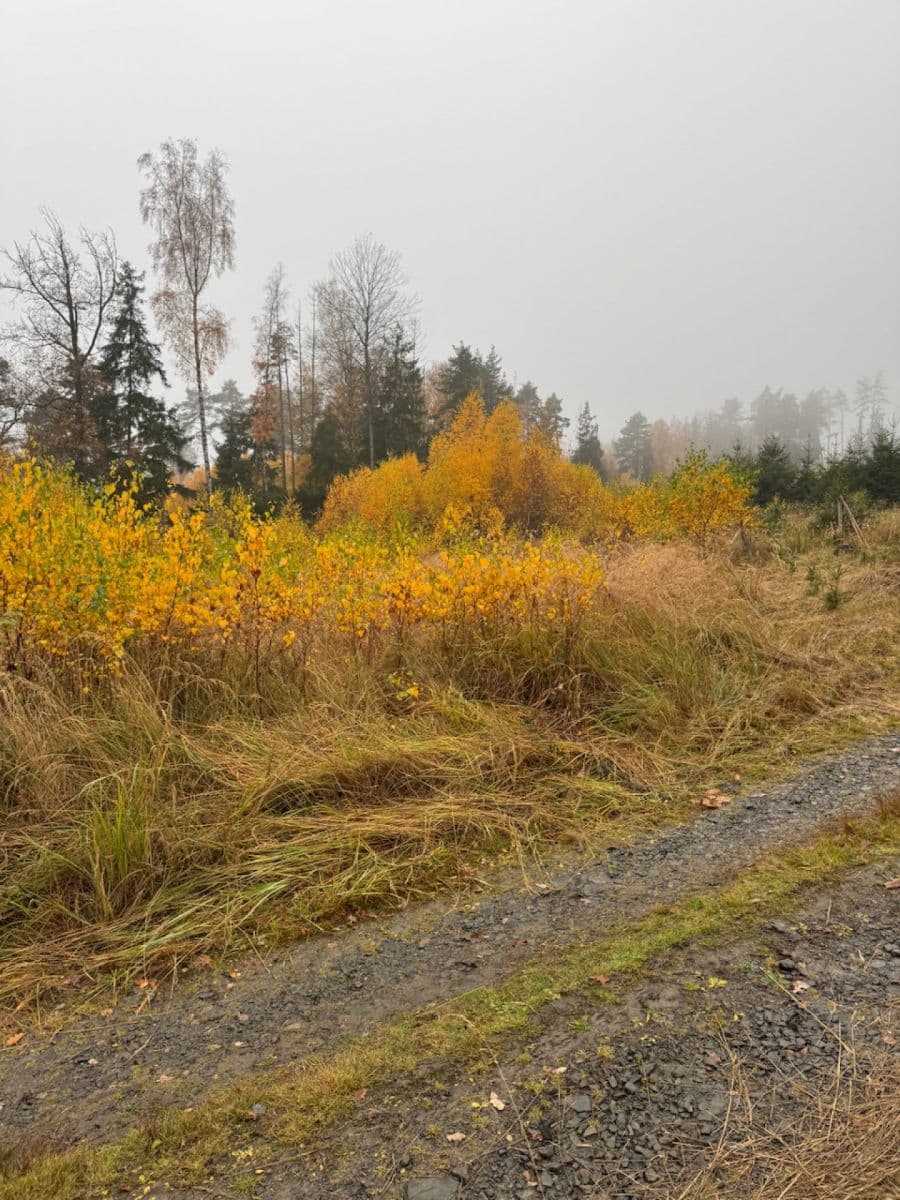 Predaj pozemku 13.538 m², Úboč, Plzeňský kraj Predaj pozemku 13.538 m², Úboč, Plzeňský kraj