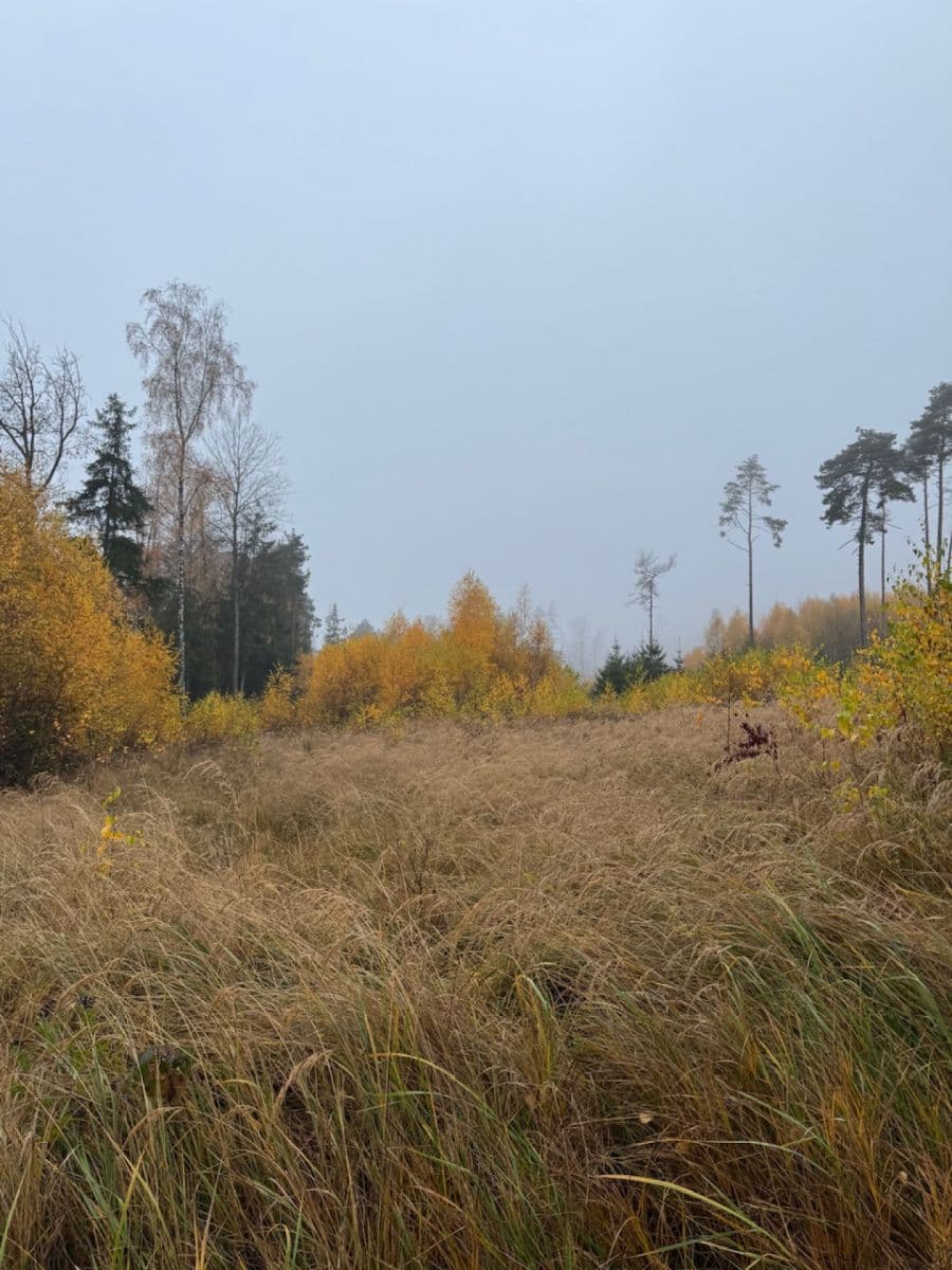 Predaj pozemku 13.538 m², Úboč, Plzeňský kraj Predaj pozemku 13.538 m², Úboč, Plzeňský kraj