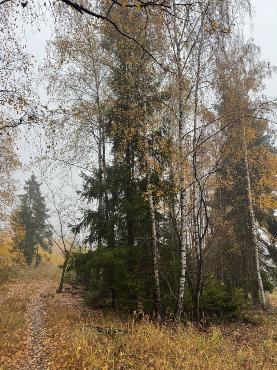 Predaj pozemku 13.538 m², Úboč, Plzeňský kraj Predaj pozemku 13.538 m², Úboč, Plzeňský kraj