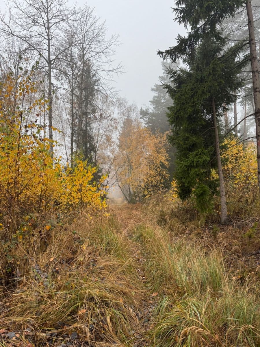 Predaj pozemku 13.538 m², Úboč, Plzeňský kraj Predaj pozemku 13.538 m², Úboč, Plzeňský kraj