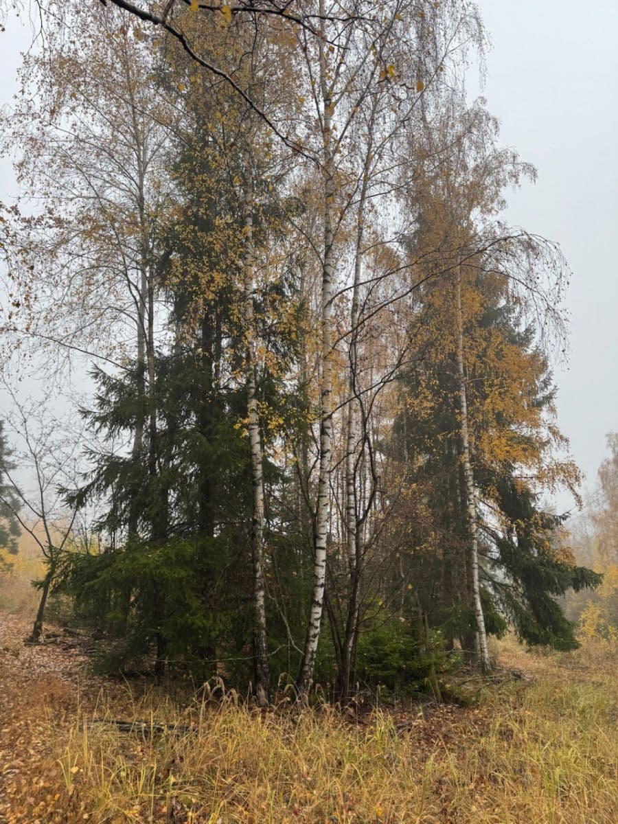 Predaj pozemku 13.538 m², Úboč, Plzeňský kraj Predaj pozemku 13.538 m², Úboč, Plzeňský kraj