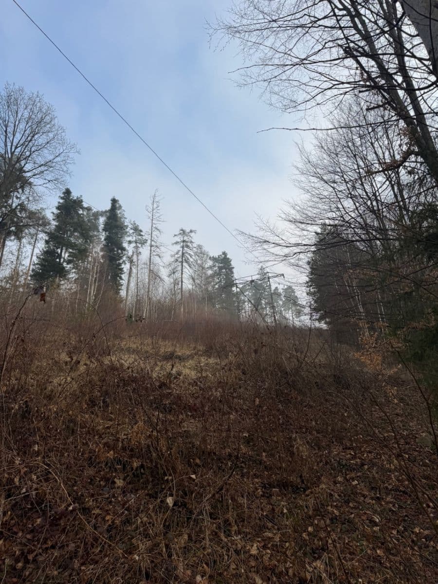 Predaj pozemku 5.829 m², Malá Bystřice, Zlínský kraj Predaj pozemku 5.829 m², Malá Bystřice, Zlínský kraj