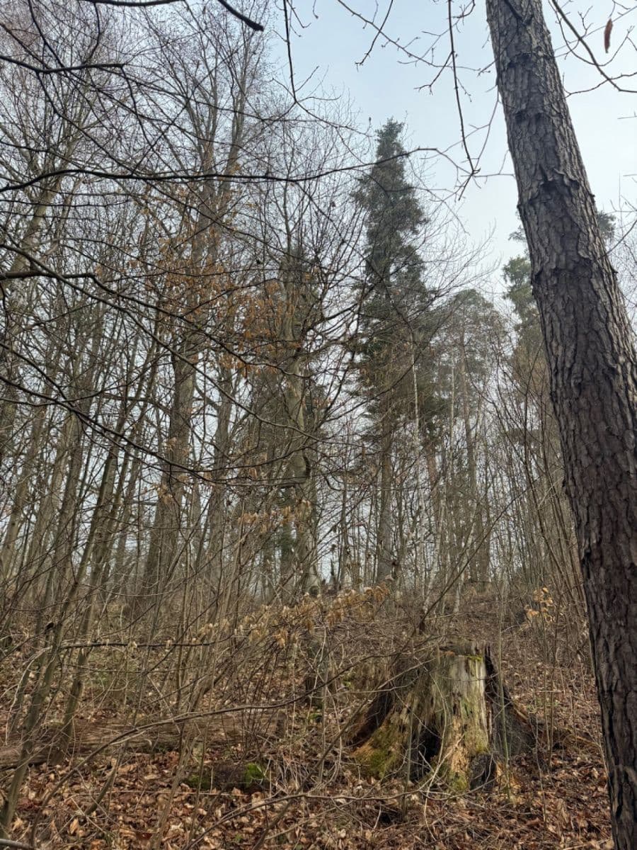 Predaj pozemku 5.829 m², Malá Bystřice, Zlínský kraj Predaj pozemku 5.829 m², Malá Bystřice, Zlínský kraj