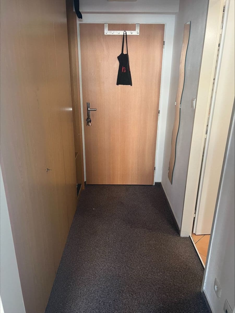 Prenájom bytu 1-izbový 41 m², Hnězdenská, Praha, Praha Prenájom bytu 1-izbový 41 m², Hnězdenská, Praha, Praha