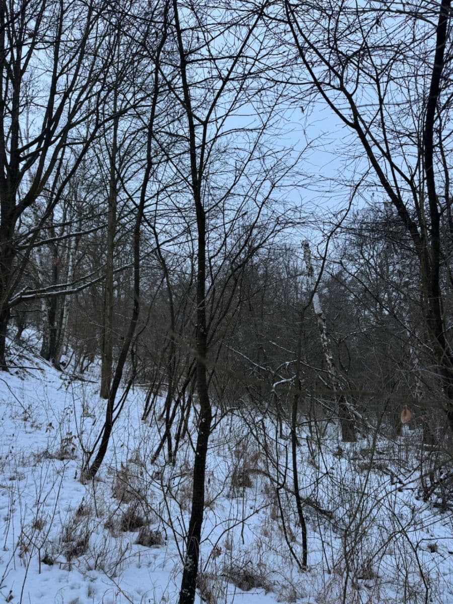 Predaj pozemku 20.392 m², Kralupy nad Vltavou, Středočeský kraj Predaj pozemku 20.392 m², Kralupy nad Vltavou, Středočeský kraj