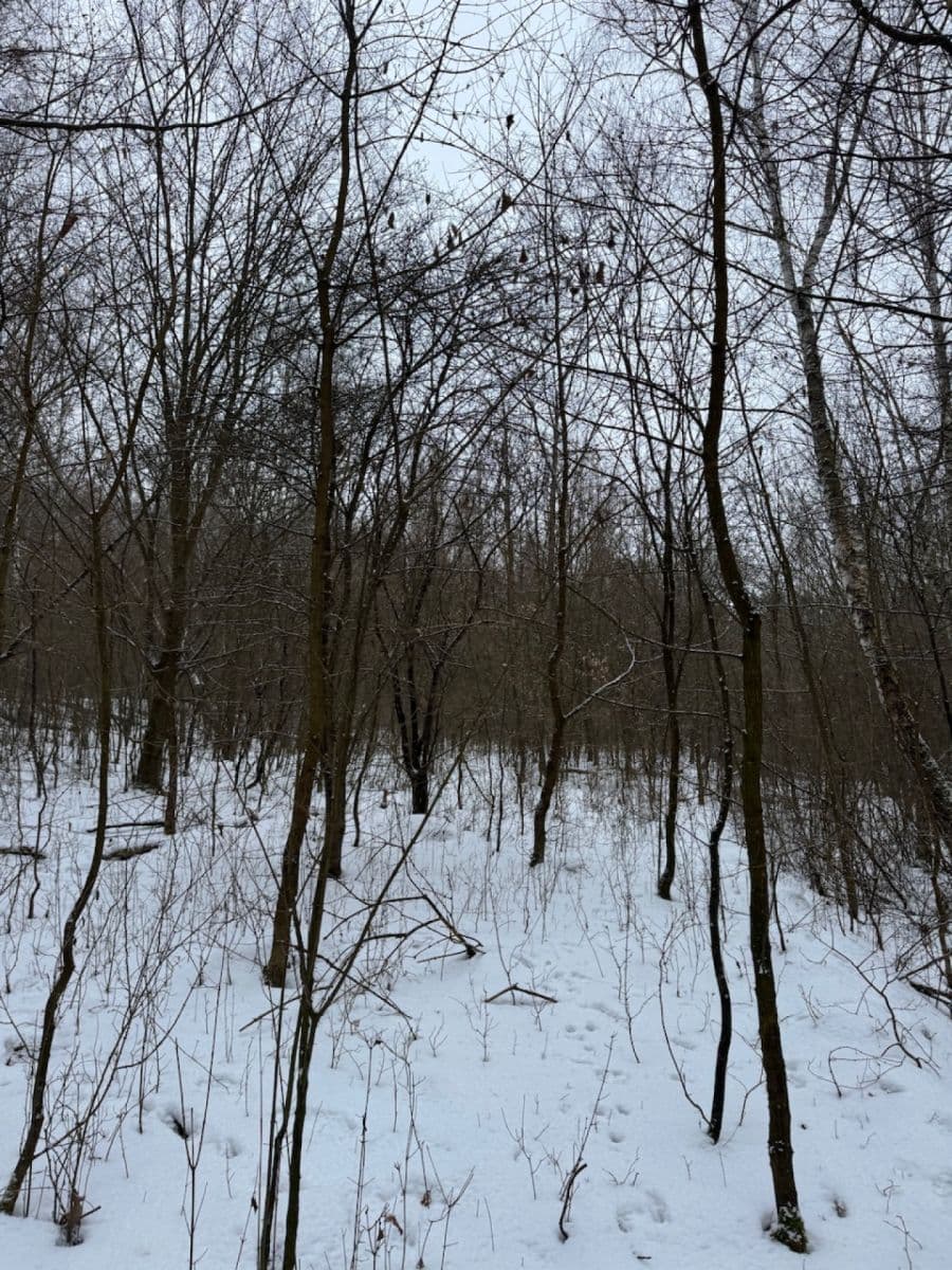 Predaj pozemku 20.392 m², Kralupy nad Vltavou, Středočeský kraj Predaj pozemku 20.392 m², Kralupy nad Vltavou, Středočeský kraj