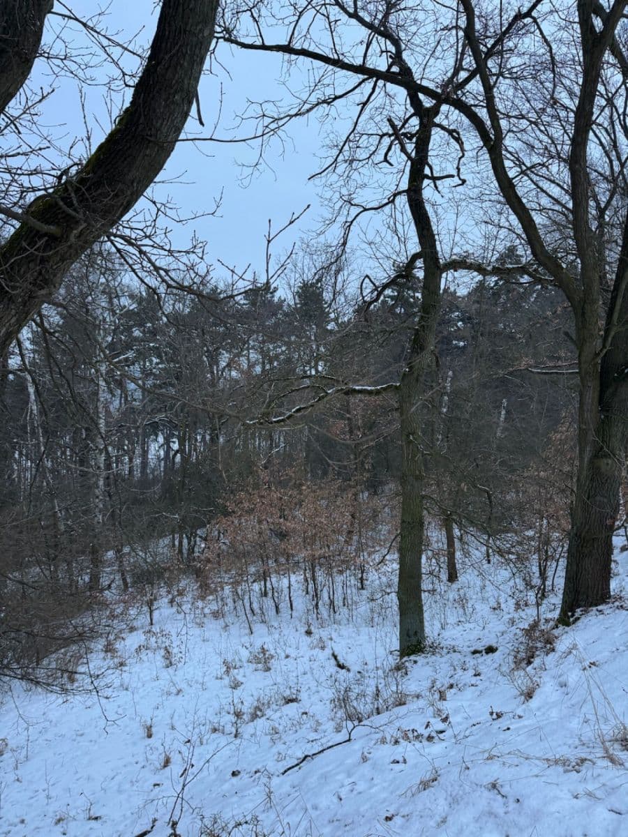 Predaj pozemku 20.392 m², Kralupy nad Vltavou, Středočeský kraj Predaj pozemku 20.392 m², Kralupy nad Vltavou, Středočeský kraj