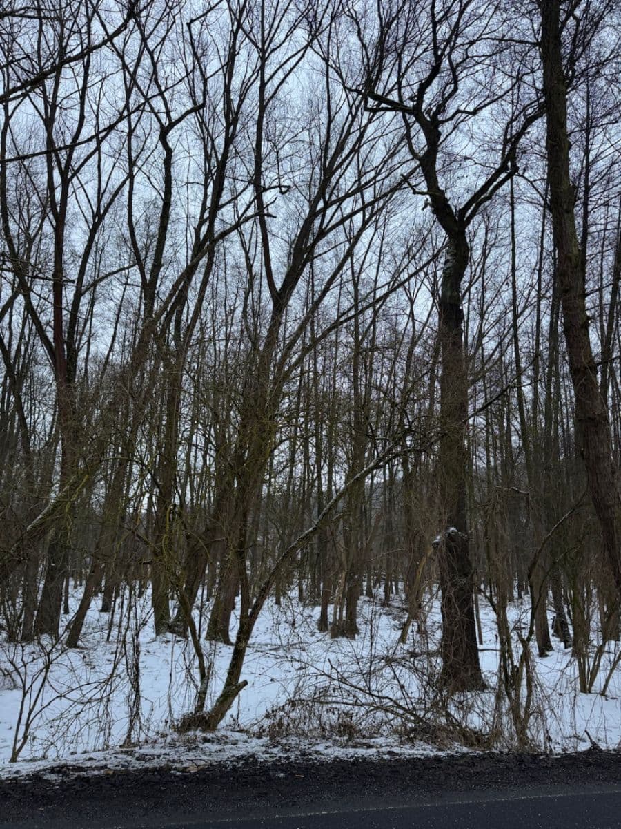 Predaj pozemku 20.392 m², Kralupy nad Vltavou, Středočeský kraj Predaj pozemku 20.392 m², Kralupy nad Vltavou, Středočeský kraj