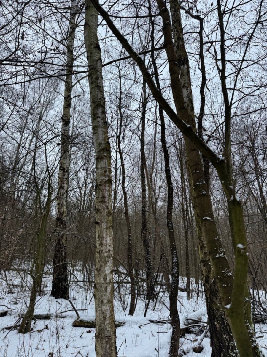 Predaj pozemku 20.392 m², Kralupy nad Vltavou, Středočeský kraj Predaj pozemku 20.392 m², Kralupy nad Vltavou, Středočeský kraj