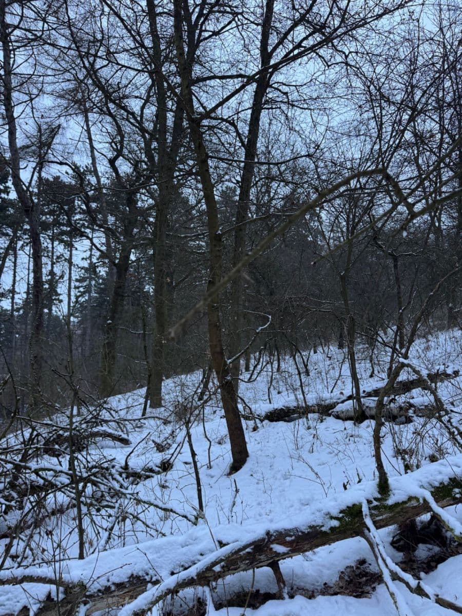 Predaj pozemku 20.392 m², Kralupy nad Vltavou, Středočeský kraj Predaj pozemku 20.392 m², Kralupy nad Vltavou, Středočeský kraj