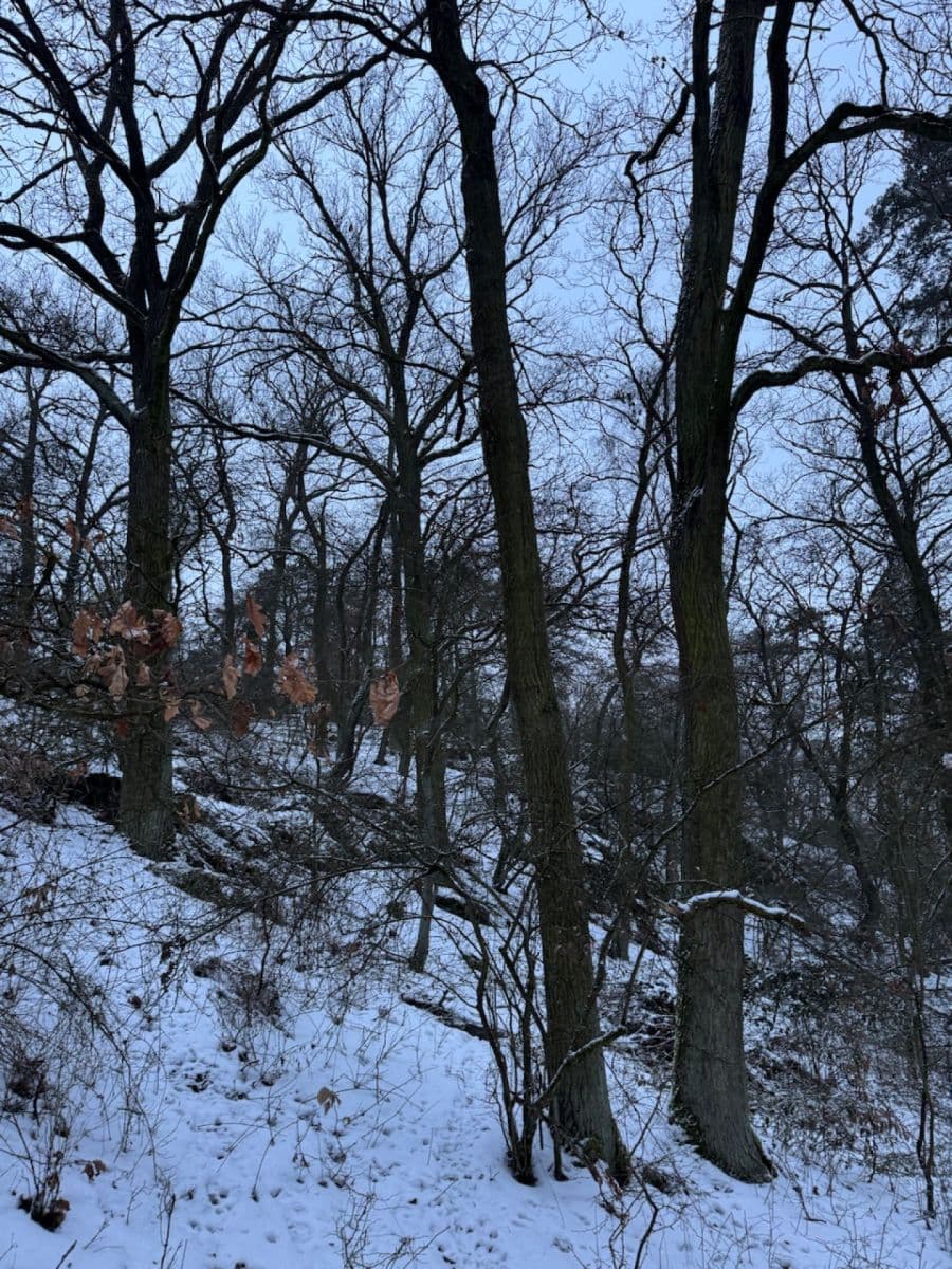 Predaj pozemku 20.392 m², Kralupy nad Vltavou, Středočeský kraj Predaj pozemku 20.392 m², Kralupy nad Vltavou, Středočeský kraj