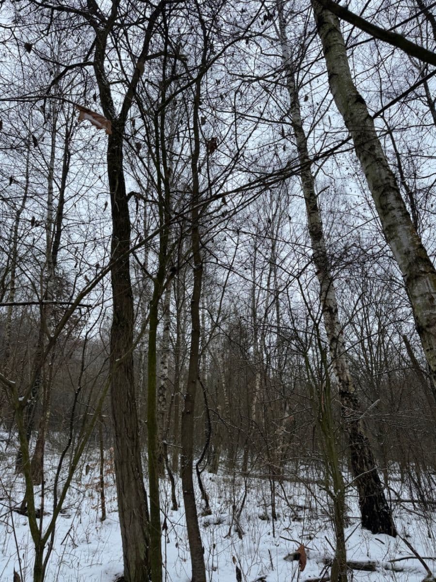 Predaj pozemku 20.392 m², Kralupy nad Vltavou, Středočeský kraj Predaj pozemku 20.392 m², Kralupy nad Vltavou, Středočeský kraj