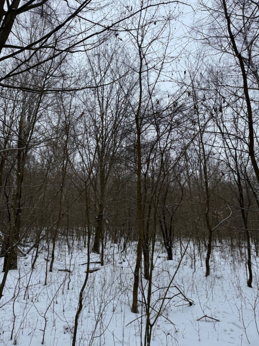 Predaj pozemku 20.392 m², Kralupy nad Vltavou, Středočeský kraj Predaj pozemku 20.392 m², Kralupy nad Vltavou, Středočeský kraj