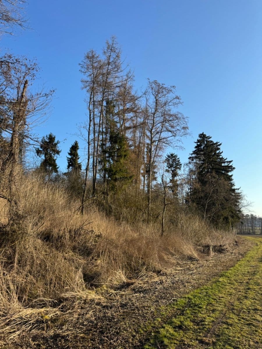 Predaj pozemku 8.466 m², Nový Malín, Olomoucký kraj Predaj pozemku 8.466 m², Nový Malín, Olomoucký kraj