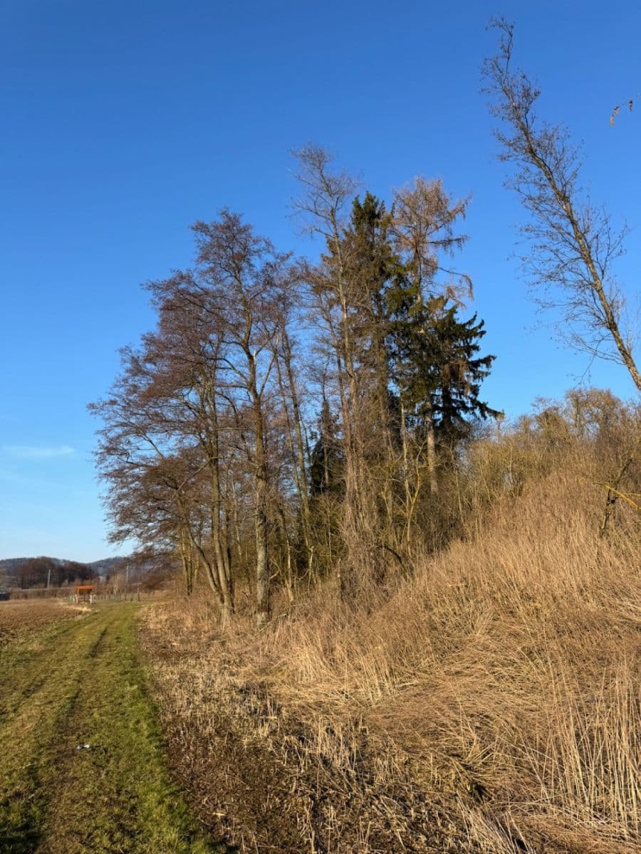Predaj pozemku 8.466 m², Nový Malín, Olomoucký kraj Predaj pozemku 8.466 m², Nový Malín, Olomoucký kraj