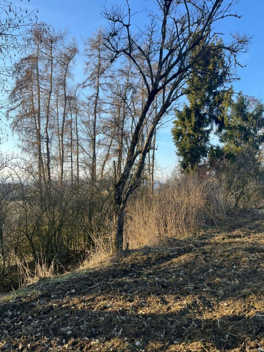 Predaj pozemku 8.466 m², Nový Malín, Olomoucký kraj Predaj pozemku 8.466 m², Nový Malín, Olomoucký kraj