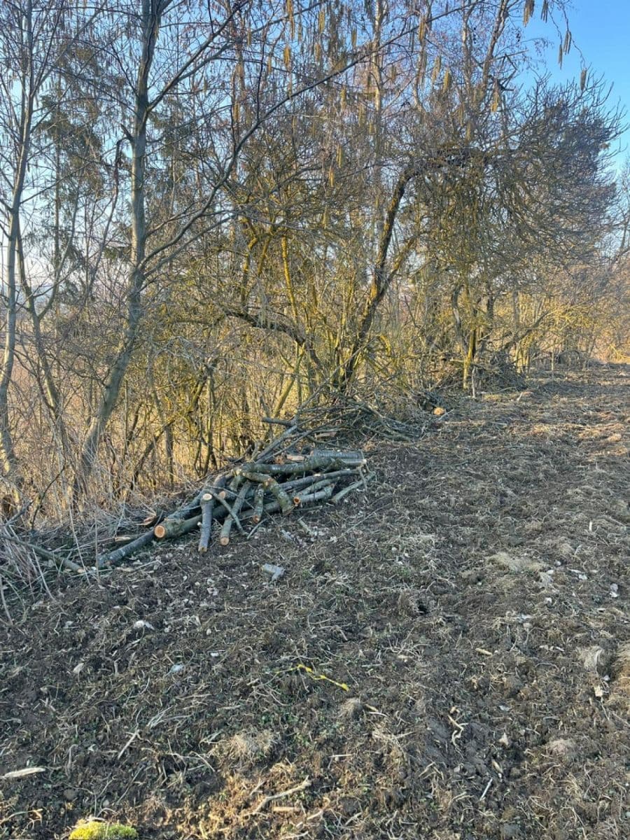 Predaj pozemku 8.466 m², Nový Malín, Olomoucký kraj Predaj pozemku 8.466 m², Nový Malín, Olomoucký kraj