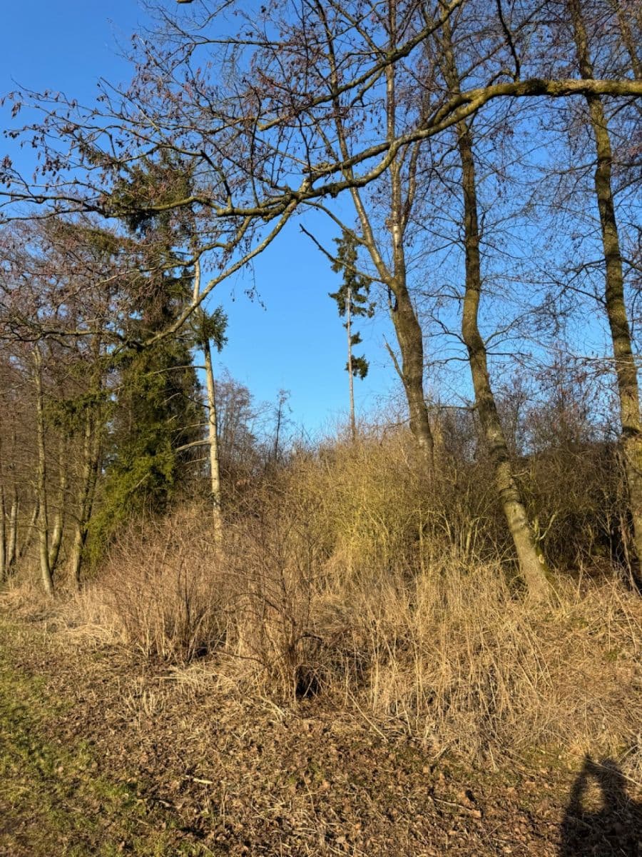 Predaj pozemku 8.466 m², Nový Malín, Olomoucký kraj Predaj pozemku 8.466 m², Nový Malín, Olomoucký kraj