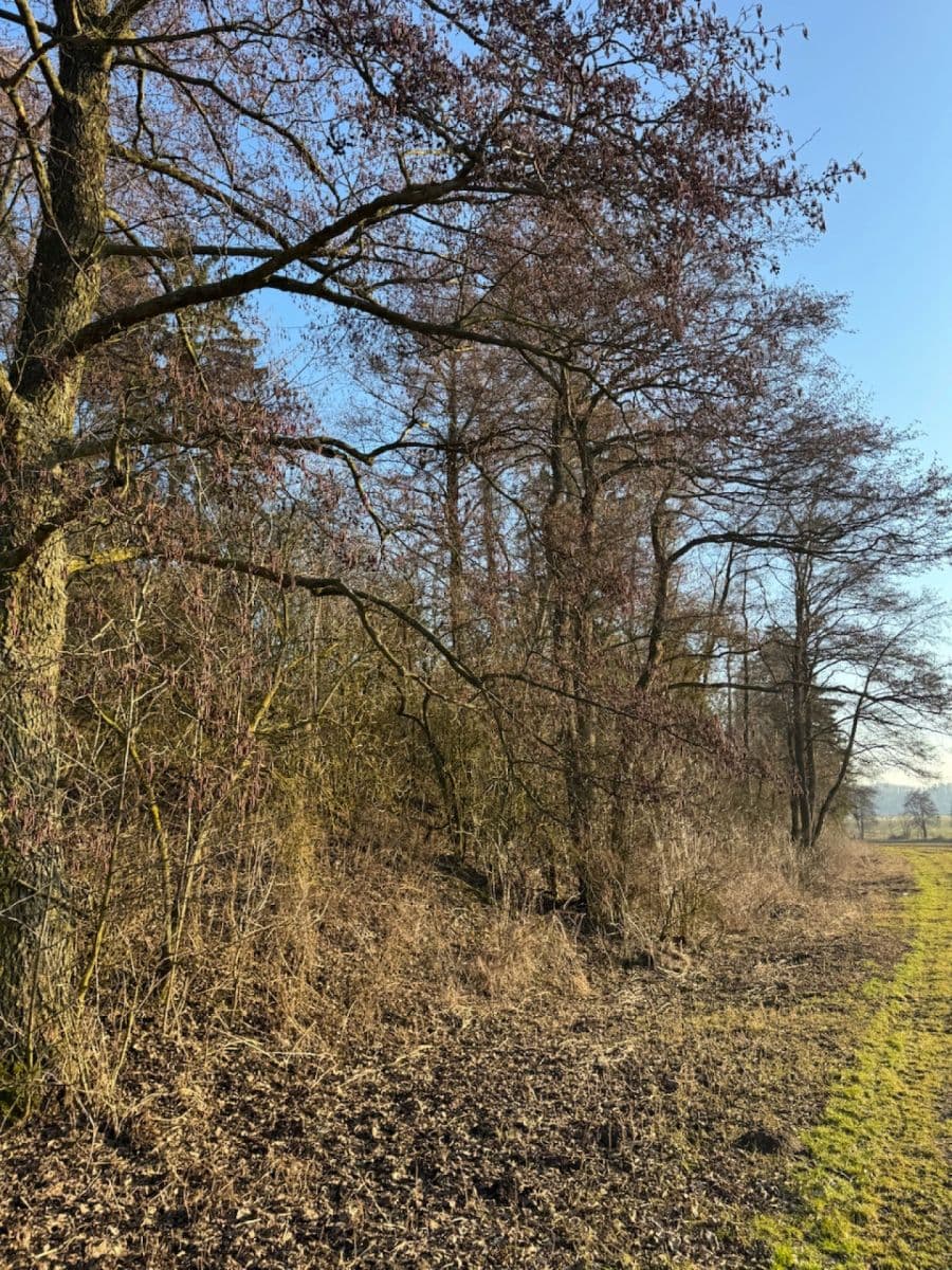 Predaj pozemku 8.466 m², Nový Malín, Olomoucký kraj Predaj pozemku 8.466 m², Nový Malín, Olomoucký kraj