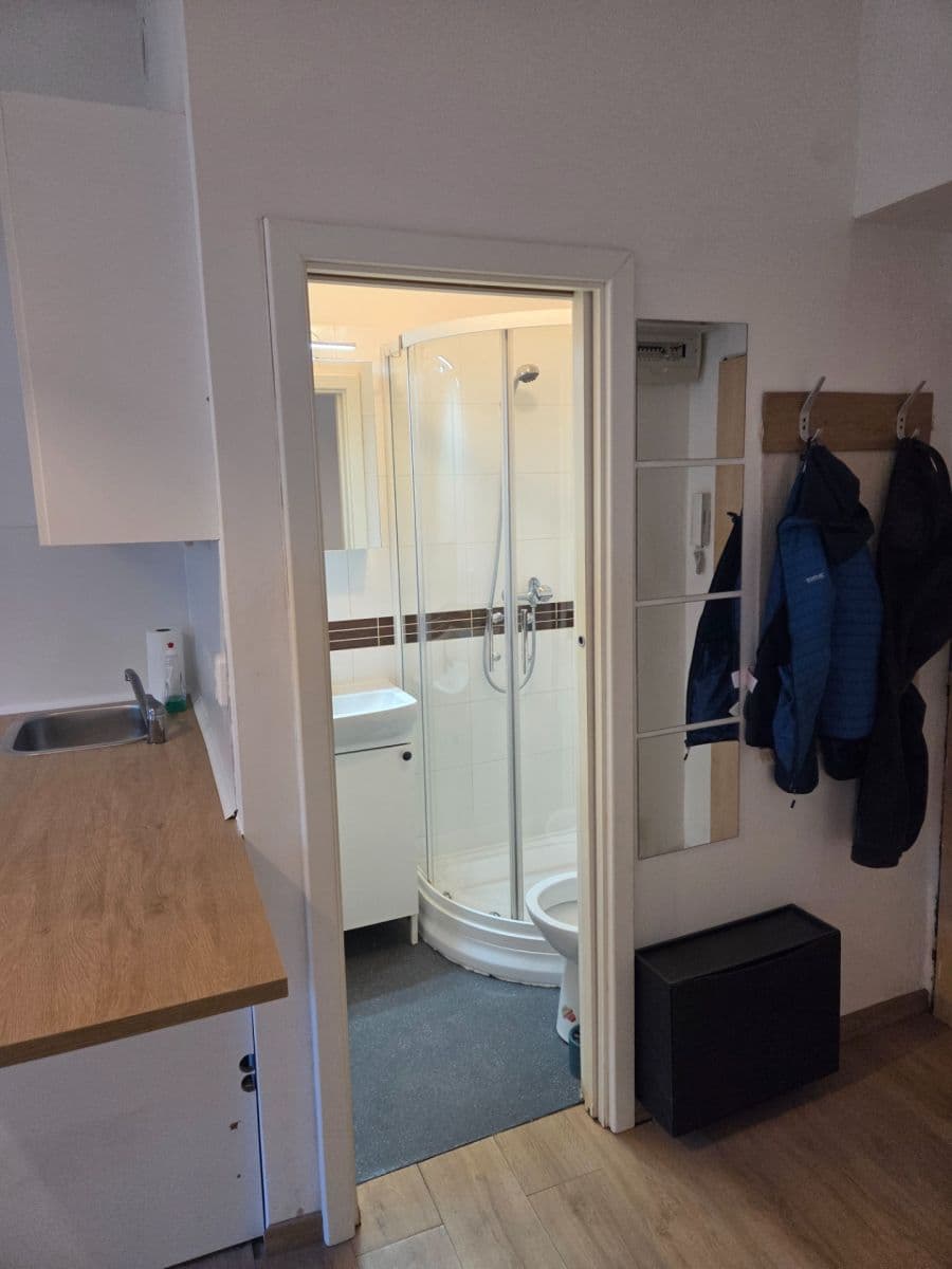 Prenájom bytu Garsoniéra 18 m², Zúžená, Praha, Praha Prenájom bytu Garsoniéra 18 m², Zúžená, Praha, Praha