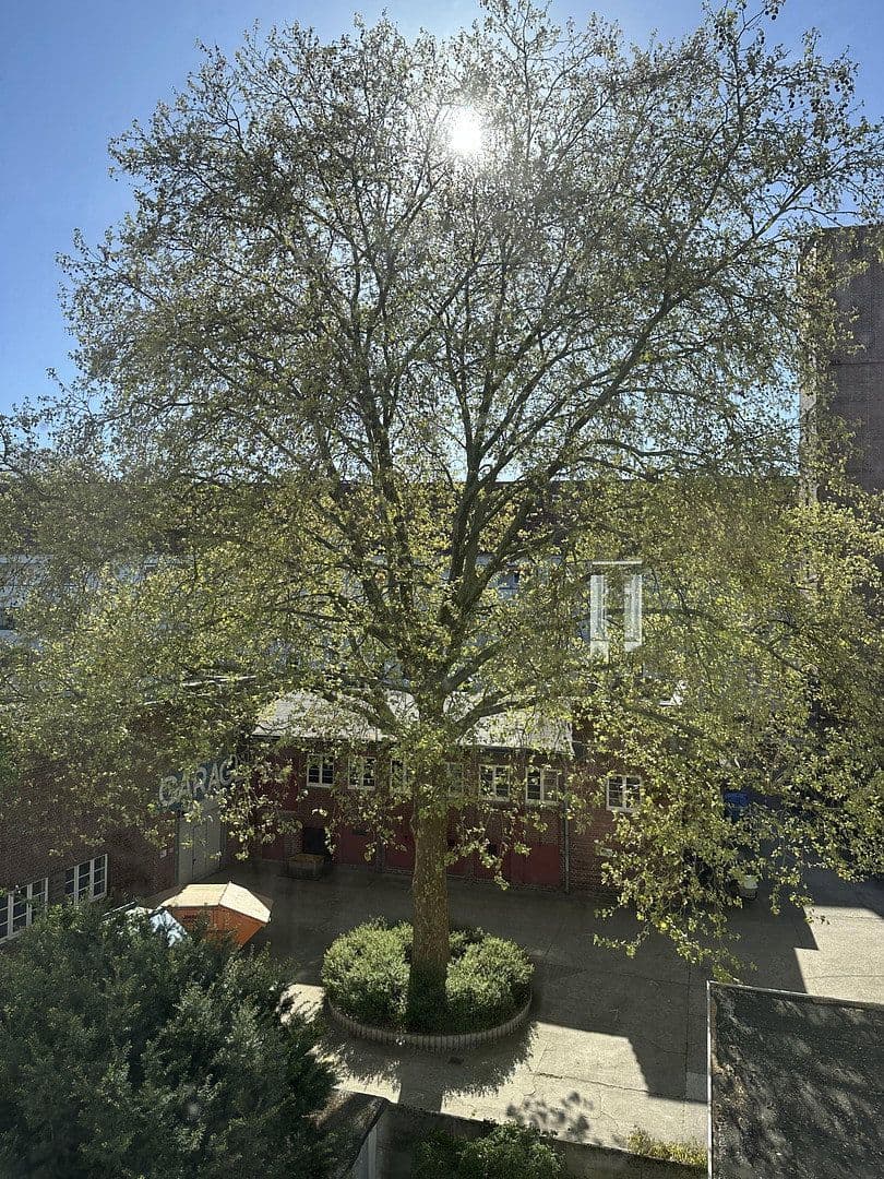 Prenájom bytu 4-izbový 87 m², Immengarten 13, Hannover, Dolné Sasko Prenájom bytu 4-izbový 87 m², Immengarten 13, Hannover, Dolné Sasko