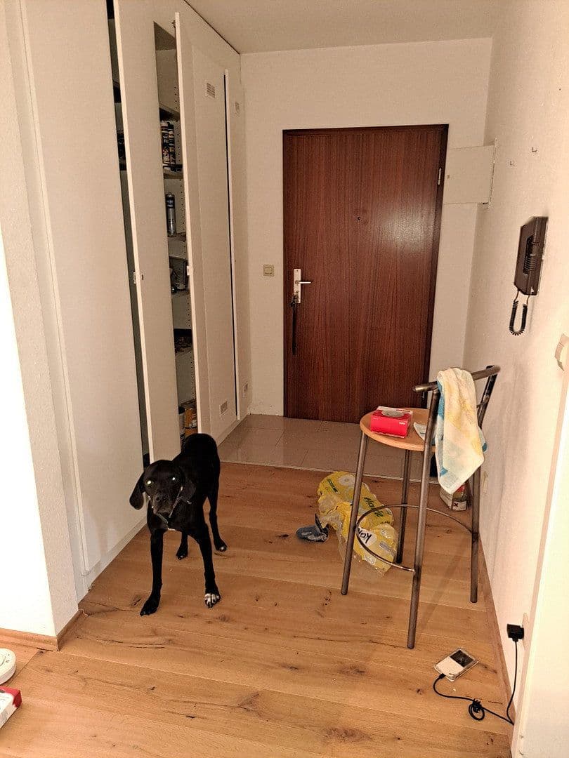 Prenájom bytu 2-izbový 60 m², Singen (Hohentwiel), Bádensko-Wurttembersko Prenájom bytu 2-izbový 60 m², Singen (Hohentwiel), Bádensko-Wurttembersko