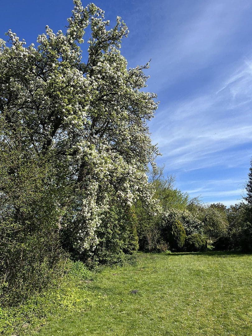 Predaj domu 374 m², pozemek 2.144 m², Wentorf (Amt Sandesneben), Šlezvicko-Holštajnsko Predaj domu 374 m², pozemek 2.144 m², Wentorf (Amt Sandesneben), Šlezvicko-Holštajnsko