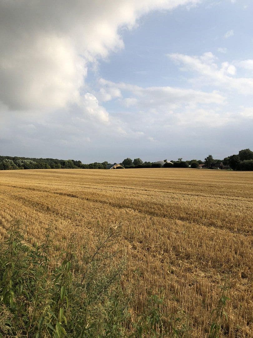 Predaj domu 374 m², pozemek 2.144 m², Wentorf (Amt Sandesneben), Šlezvicko-Holštajnsko Predaj domu 374 m², pozemek 2.144 m², Wentorf (Amt Sandesneben), Šlezvicko-Holštajnsko