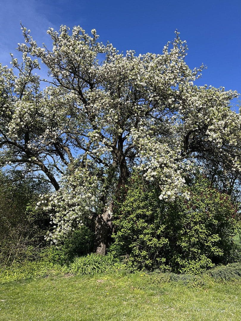 Predaj domu 374 m², pozemek 2.144 m², Wentorf (Amt Sandesneben), Šlezvicko-Holštajnsko Predaj domu 374 m², pozemek 2.144 m², Wentorf (Amt Sandesneben), Šlezvicko-Holštajnsko