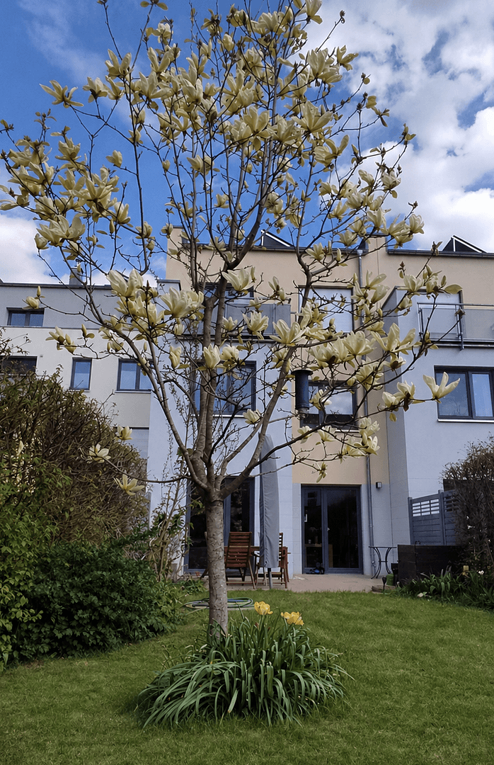 Predaj domu 138 m², pozemek 213 m², Leipzig, Sasko Predaj domu 138 m², pozemek 213 m², Leipzig, Sasko
