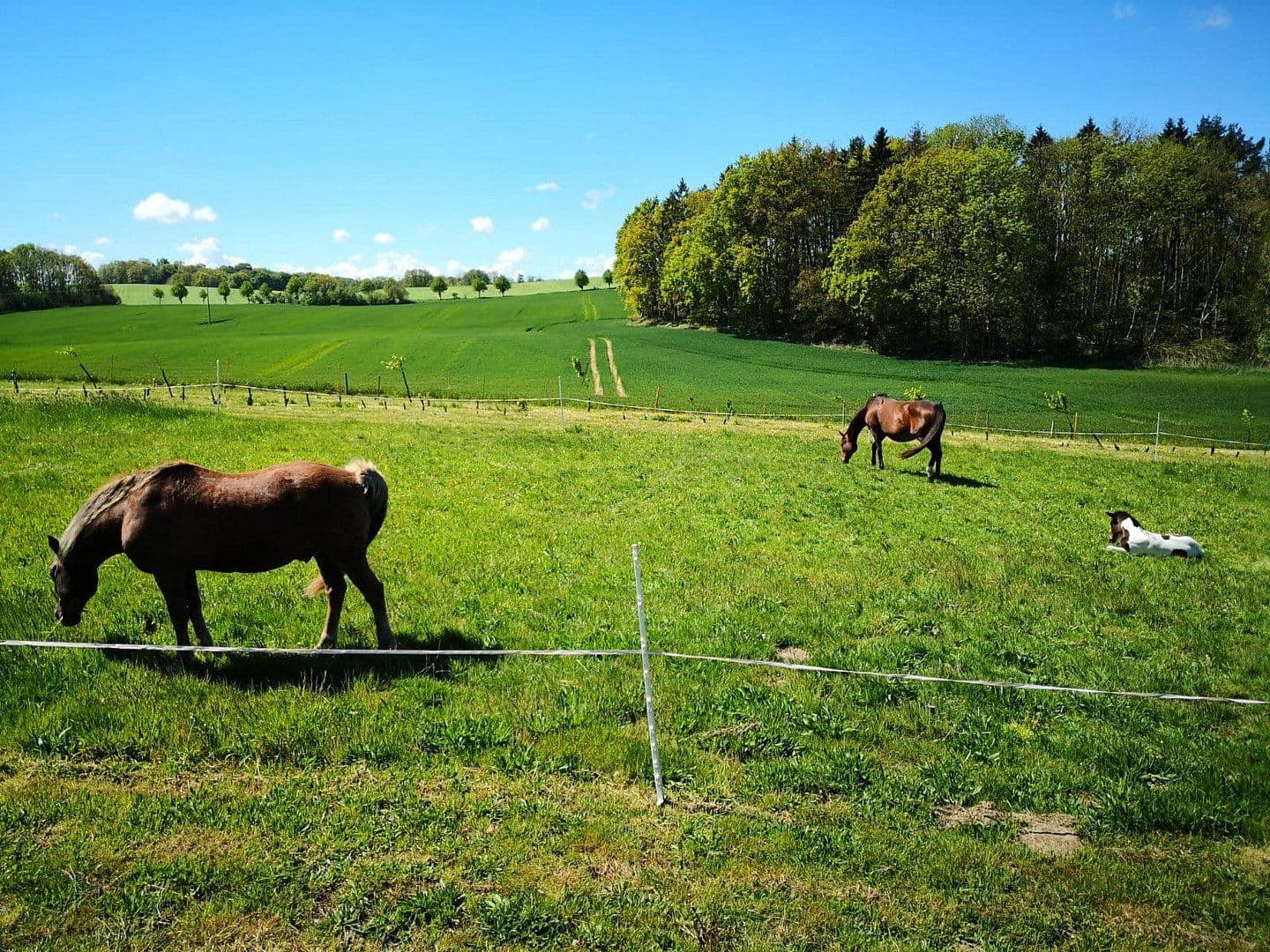 Predaj pozemku 2.000 m², Alter Kastanienweg 8, Satow, Meklenbursko-Predpomoransko Predaj pozemku 2.000 m², Alter Kastanienweg 8, Satow, Meklenbursko-Predpomoransko