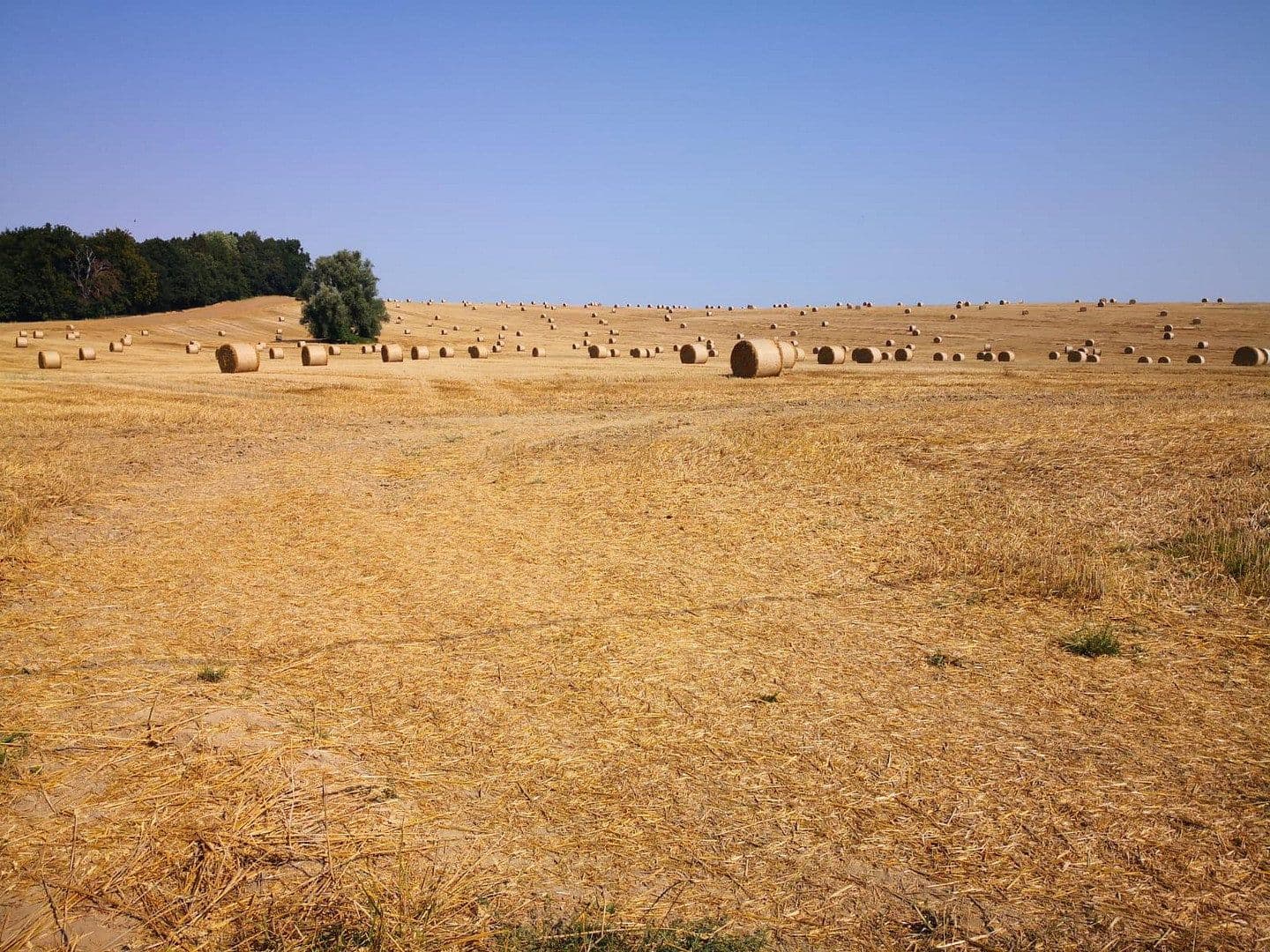 Predaj pozemku 2.000 m², Alter Kastanienweg 8, Satow, Meklenbursko-Predpomoransko Predaj pozemku 2.000 m², Alter Kastanienweg 8, Satow, Meklenbursko-Predpomoransko