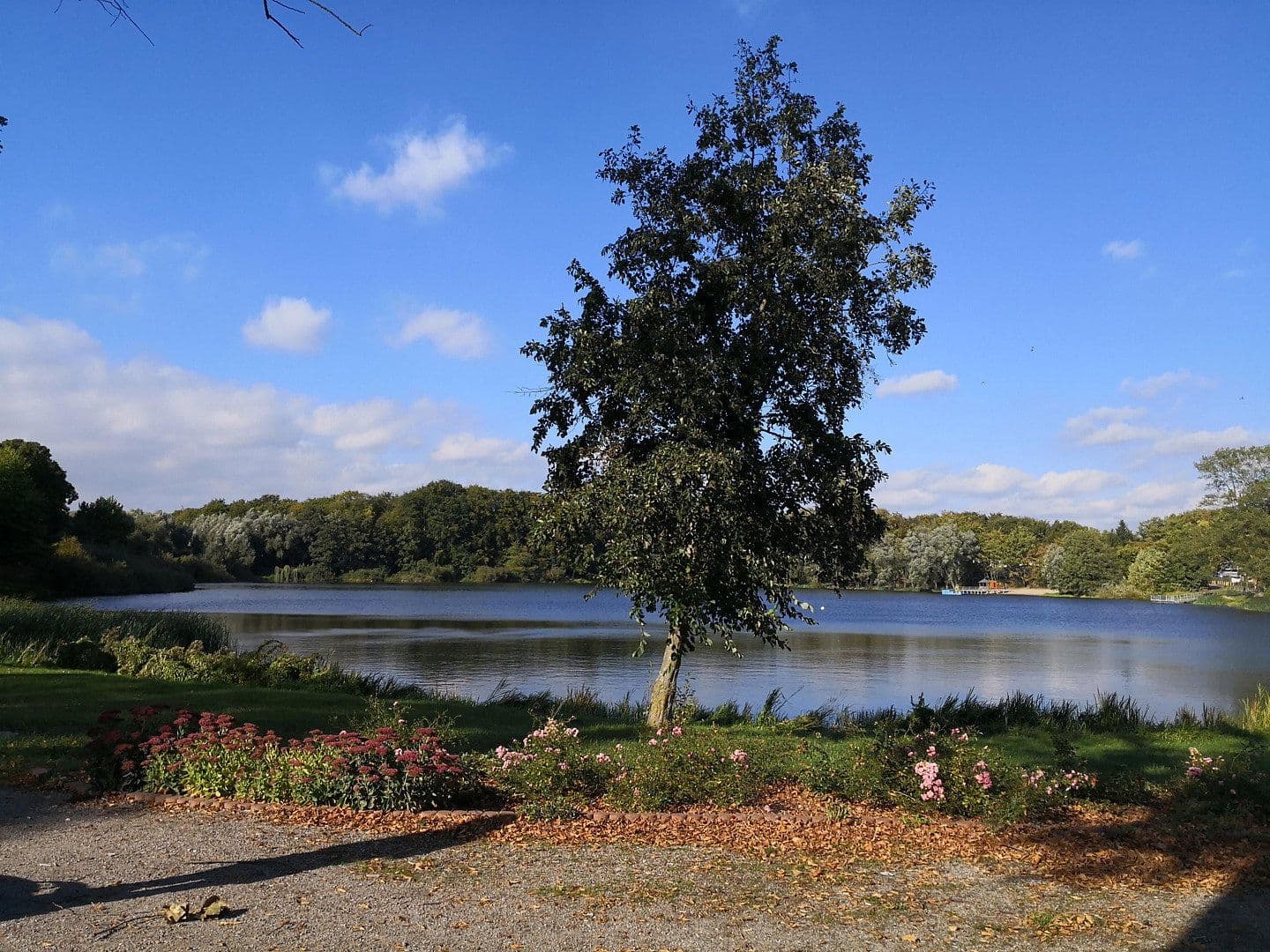 Predaj pozemku 2.000 m², Alter Kastanienweg 8, Satow, Meklenbursko-Predpomoransko Predaj pozemku 2.000 m², Alter Kastanienweg 8, Satow, Meklenbursko-Predpomoransko