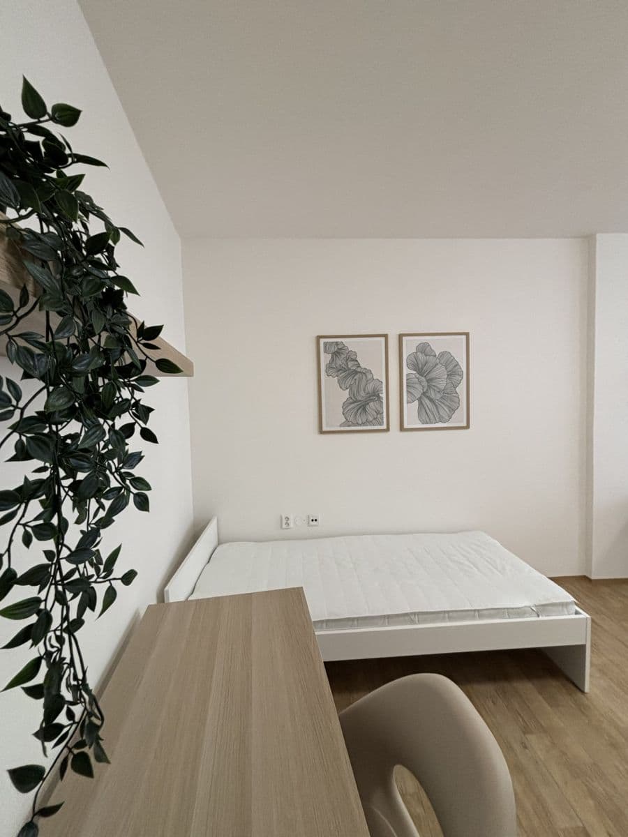 Prenájom bytu 2-izbový 65 m², Rumiště, Brno, Jihomoravský kraj Prenájom bytu 2-izbový 65 m², Rumiště, Brno, Jihomoravský kraj