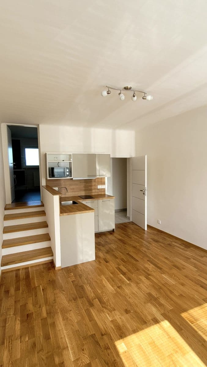 Prenájom bytu 1-izbový 30 m², Na Pasece, Praha, Praha Prenájom bytu 1-izbový 30 m², Na Pasece, Praha, Praha