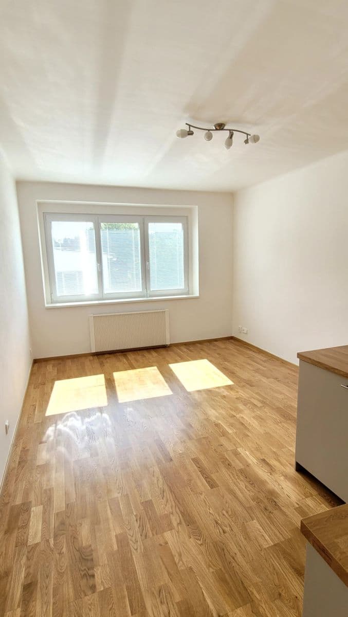 Prenájom bytu 1-izbový 30 m², Na Pasece, Praha, Praha Prenájom bytu 1-izbový 30 m², Na Pasece, Praha, Praha