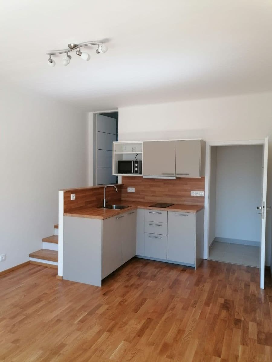 Prenájom bytu 1-izbový 30 m², Na Pasece, Praha, Praha Prenájom bytu 1-izbový 30 m², Na Pasece, Praha, Praha