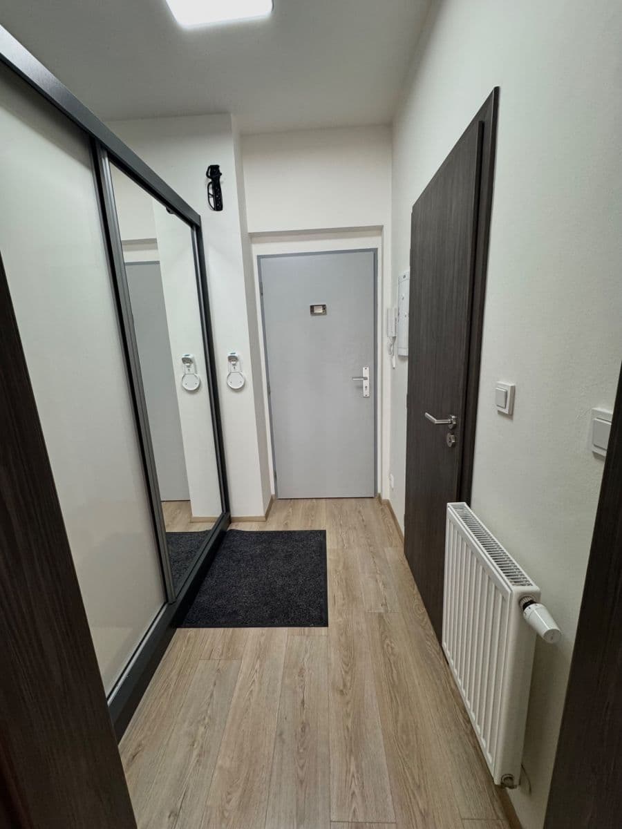 Prenájom bytu 1-izbový 42 m², Hřbitovní, Plzeň, Plzeňský kraj Prenájom bytu 1-izbový 42 m², Hřbitovní, Plzeň, Plzeňský kraj