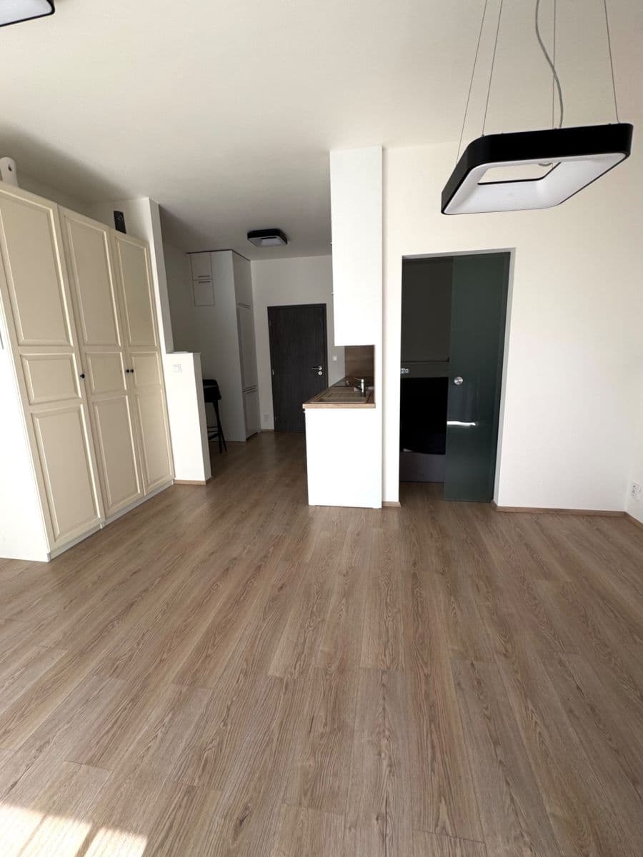Prenájom bytu 1-izbový 42 m², Hřbitovní, Plzeň, Plzeňský kraj Prenájom bytu 1-izbový 42 m², Hřbitovní, Plzeň, Plzeňský kraj