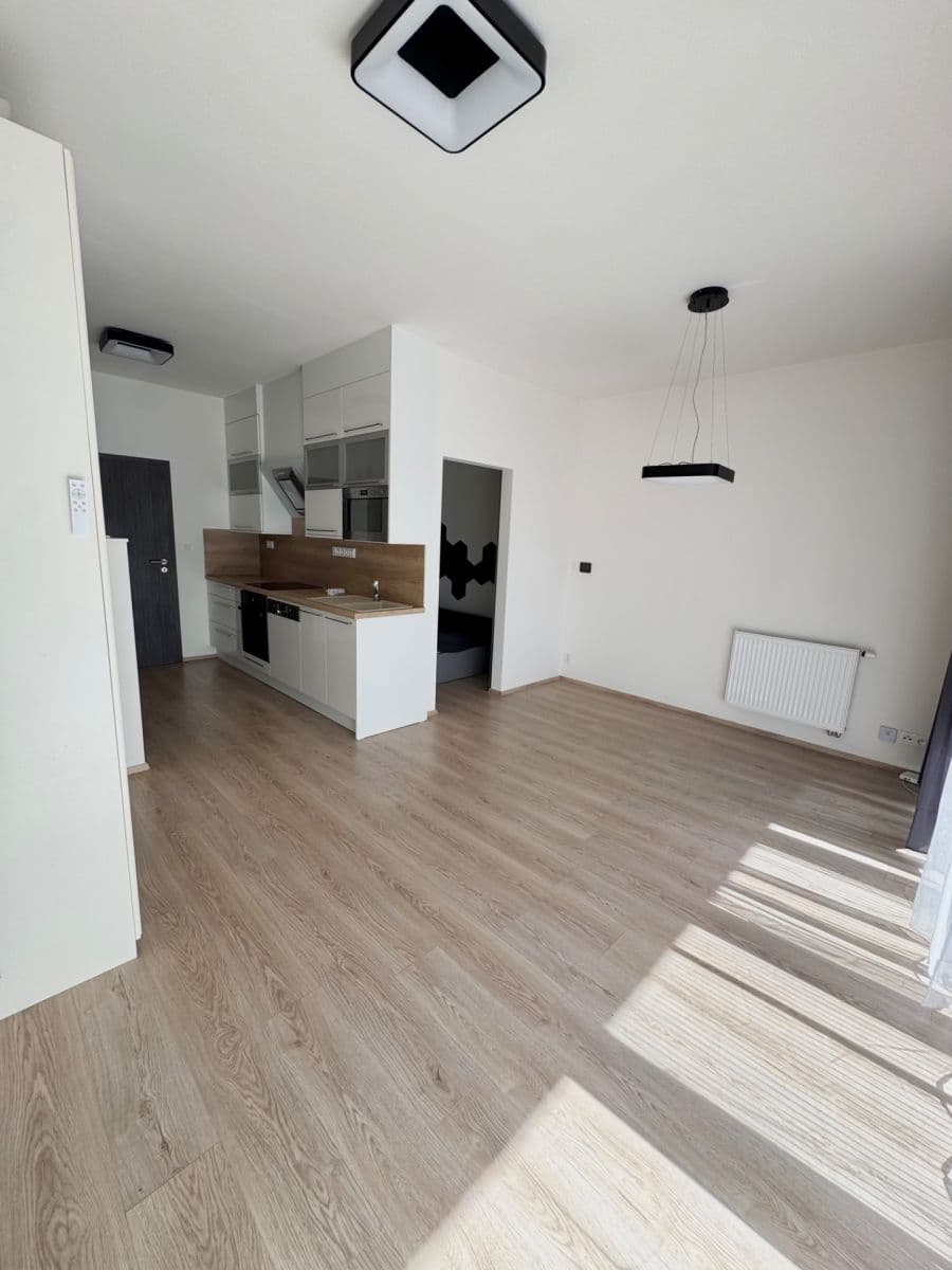 Prenájom bytu 1-izbový 42 m², Hřbitovní, Plzeň, Plzeňský kraj Prenájom bytu 1-izbový 42 m², Hřbitovní, Plzeň, Plzeňský kraj