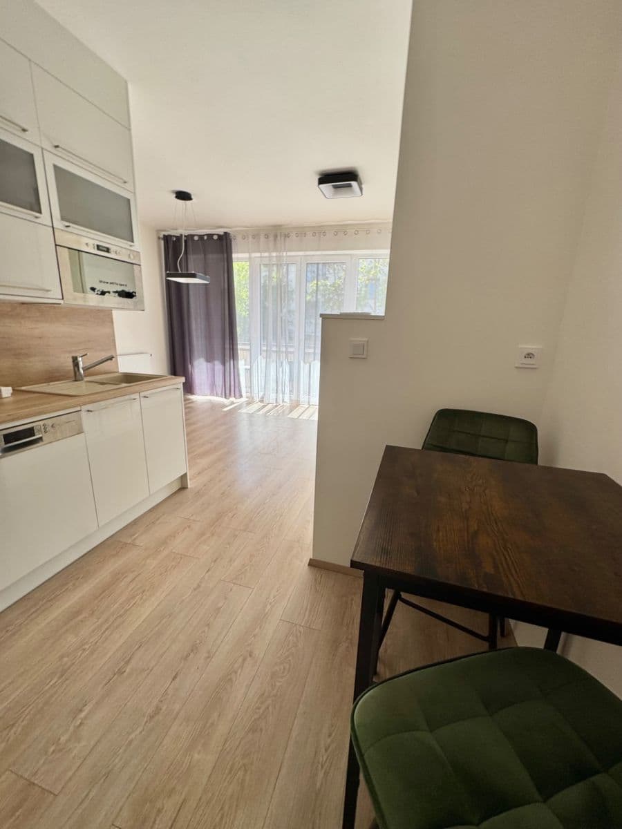 Prenájom bytu 1-izbový 42 m², Hřbitovní, Plzeň, Plzeňský kraj Prenájom bytu 1-izbový 42 m², Hřbitovní, Plzeň, Plzeňský kraj