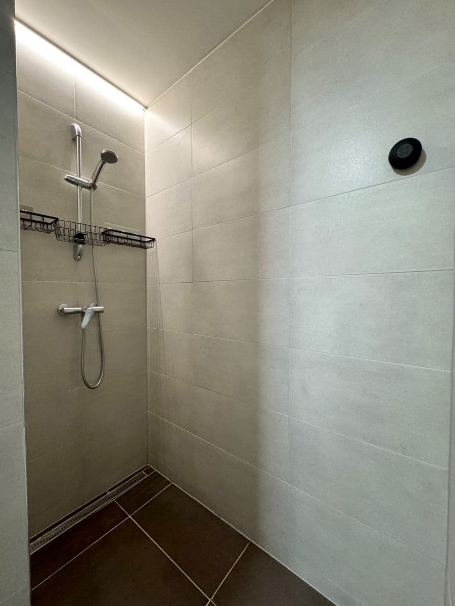 Prenájom bytu 1-izbový 42 m², Hřbitovní, Plzeň, Plzeňský kraj Prenájom bytu 1-izbový 42 m², Hřbitovní, Plzeň, Plzeňský kraj