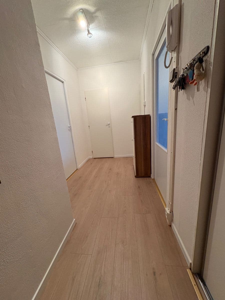 Prenájom bytu 3-izbový 55 m², Sládkovičova, Praha, Praha Prenájom bytu 3-izbový 55 m², Sládkovičova, Praha, Praha