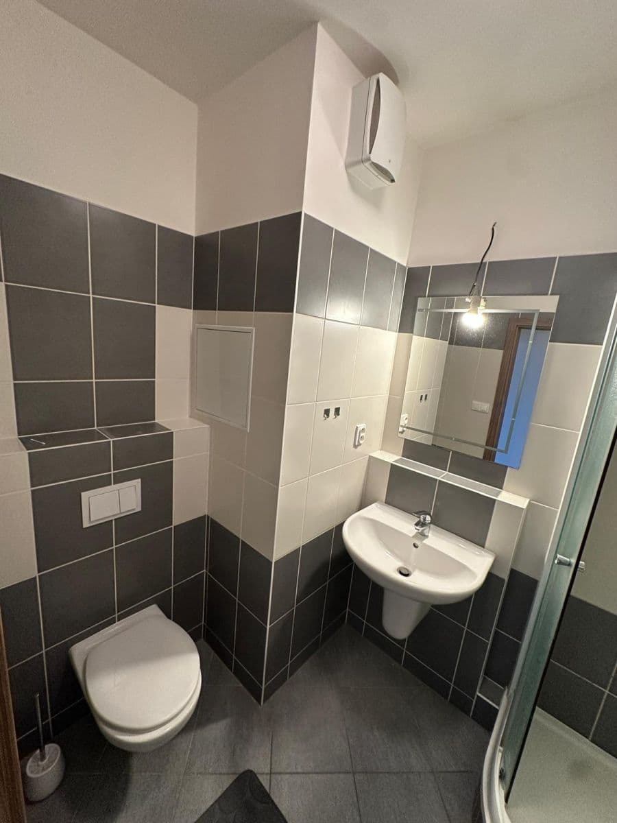 Prenájom bytu 1-izbový 36 m², Davidovičova, Praha, Praha Prenájom bytu 1-izbový 36 m², Davidovičova, Praha, Praha