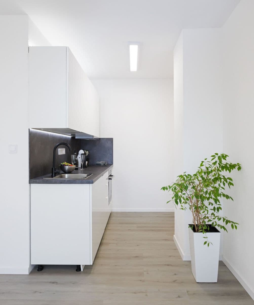 Prenájom bytu 2-izbový 47 m², Podjavorinské, Praha, Praha Prenájom bytu 2-izbový 47 m², Podjavorinské, Praha, Praha