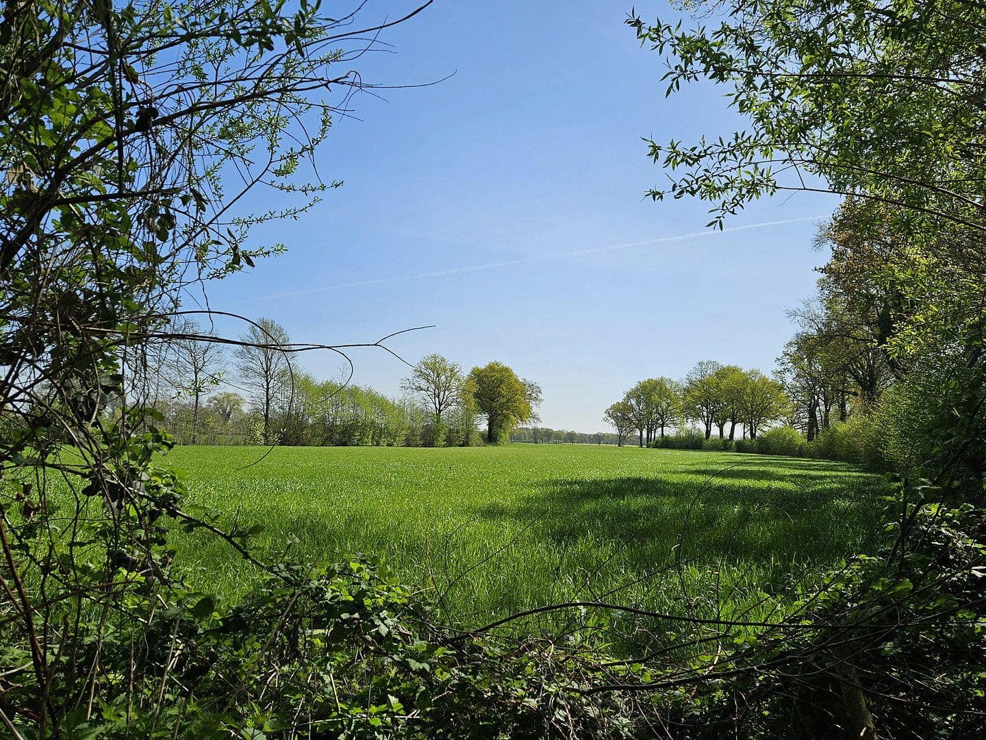 Predaj domu 260 m², pozemek 470 m², Ollerlohstraße 50a, Elmshorn, Šlezvicko-Holštajnsko Predaj domu 260 m², pozemek 470 m², Ollerlohstraße 50a, Elmshorn, Šlezvicko-Holštajnsko