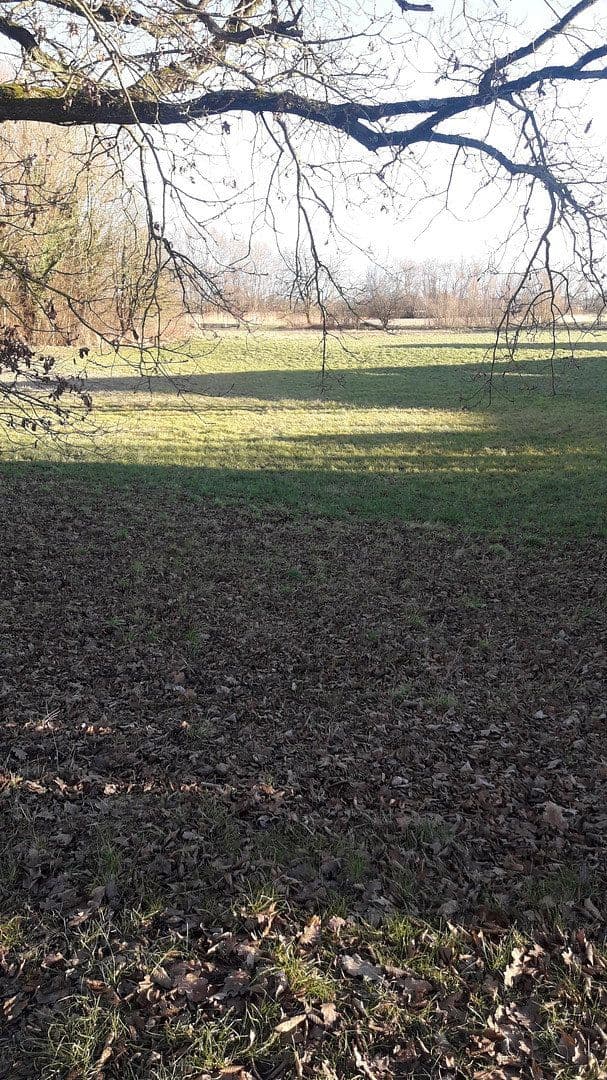 Predaj domu 142 m², pozemek 483 m², Ingolstadt, Bavorsko Predaj domu 142 m², pozemek 483 m², Ingolstadt, Bavorsko