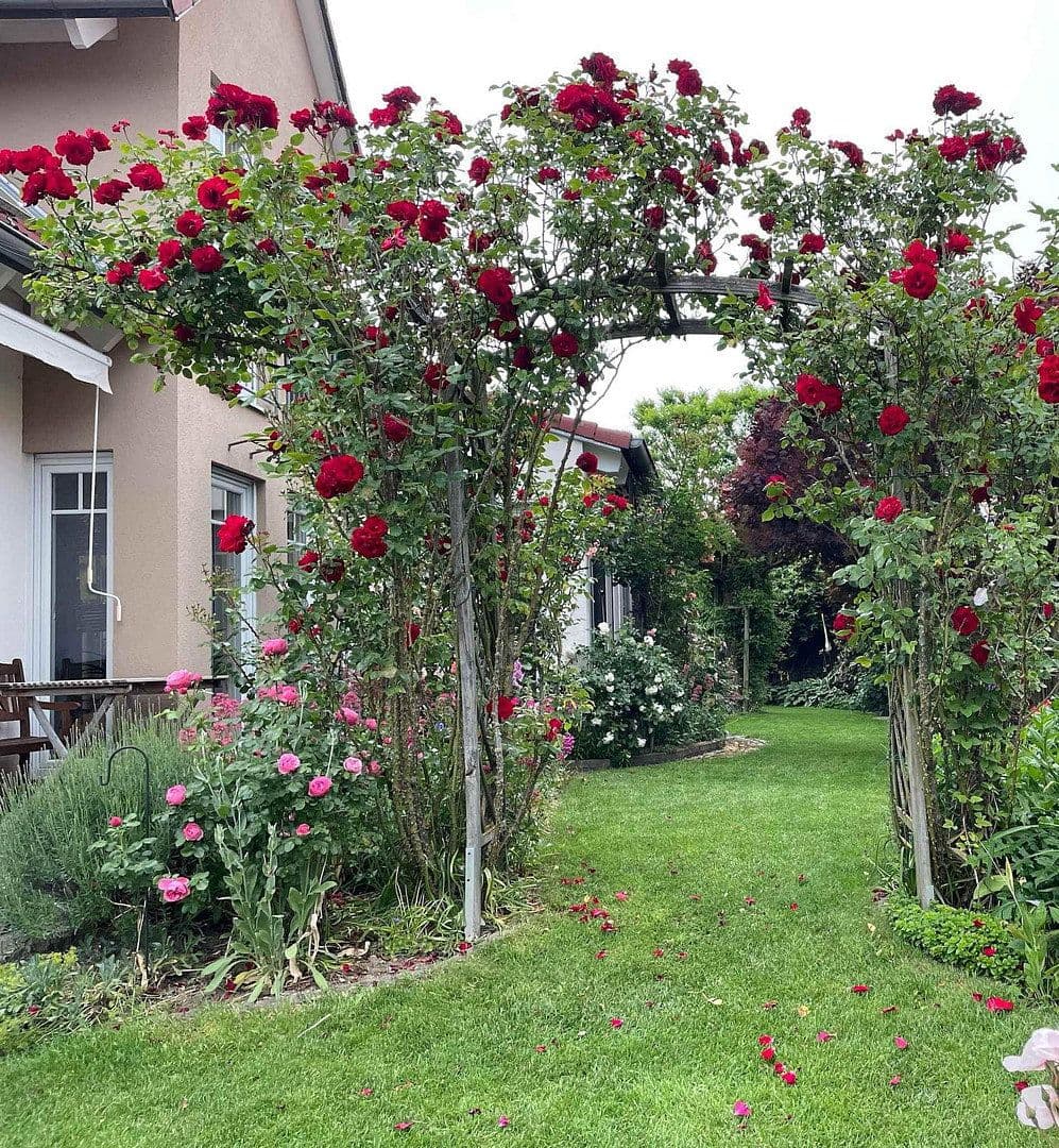 Predaj domu 139 m², pozemek 552 m², Reichertshofen, Bavorsko Predaj domu 139 m², pozemek 552 m², Reichertshofen, Bavorsko